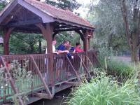 Trilakes Country Park, Near Yateley
